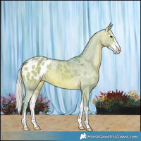 Horse Color:Watercolor Silver Bay Dun Sabino Blanket 