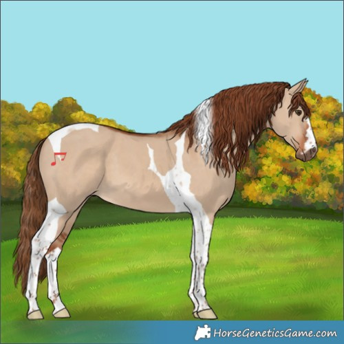 Horse Color:Red Dun Tobiano 