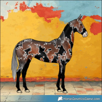 Horse Color:White Spotted Brown Sabino 