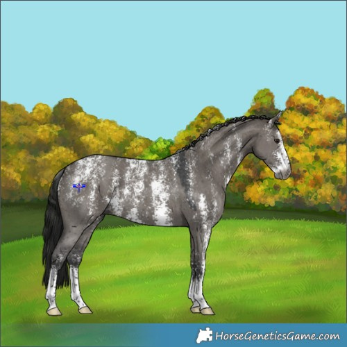 Horse Color:Powder White Gray Grullo Sabino 