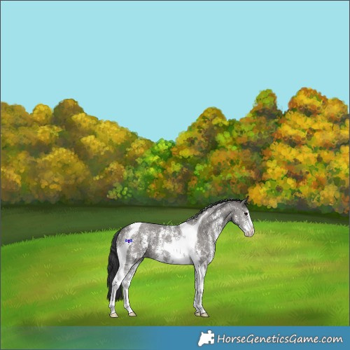 Horse Color:Grullo Sabino Tobiano 