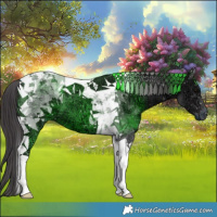 Horse Color:Smoky Black Ice Tobiano 