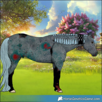 Horse Color:ERROR: UNKNOWN ANOMALY