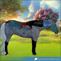 Horse Color:ERROR: UNKNOWN ANOMALY