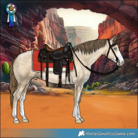 Horse Color:Buckskin Pearl Dun Sabino 