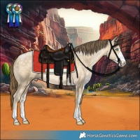 Horse Color:Buckskin Pearl Dun Sabino 