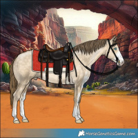 Horse Color:Buckskin Pearl Dun Sabino