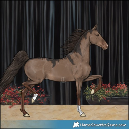 Horse Color:Liver Red Dun Varnish 