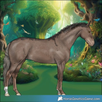 Horse Color:Liver Red Dun Mushroom Appaloosa 