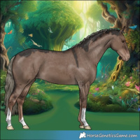 Horse Color:Liver Red Dun Mushroom Appaloosa 