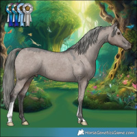 Horse Color:Liver Red Dun Mushroom Appaloosa 