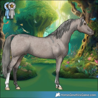 Horse Color:Liver Red Dun Mushroom Appaloosa 