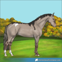 Horse Color:Liver Red Dun Mushroom Varnish 