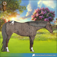 Horse Color:Liver Red Dun Mushroom Varnish Brindle 