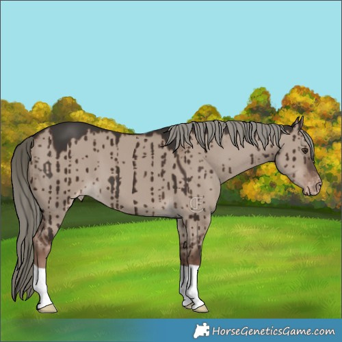Horse Color:Liver Red Dun Mushroom Varnish Brindle 