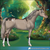 Horse Color:Liver Red Dun Mushroom Appaloosa 