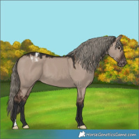 Horse Color:Liver Red Dun Mushroom Varnish 
