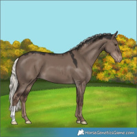 Horse Color:Liver Red Dun Mushroom Varnish 