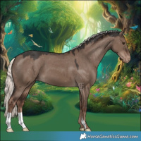 Horse Color:Liver Red Dun Mushroom Appaloosa