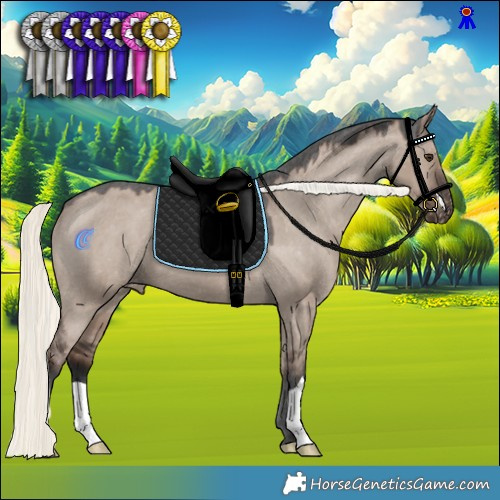 Horse Color:Liver Red Dun Mushroom Appaloosa 