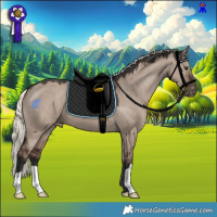 Horse Color:Liver Red Dun Mushroom Appaloosa 