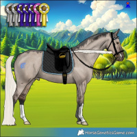 Horse Color:Liver Red Dun Mushroom Appaloosa 