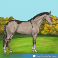 Horse Color:Liver Red Dun Mushroom Varnish 