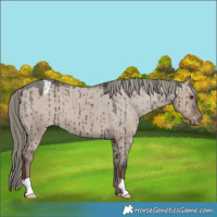 Horse Color:Liver Red Dun Mushroom Varnish Brindle 