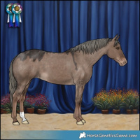 Horse Color:Liver Red Dun Mushroom Varnish 