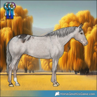 Horse Color:Liver Red Dun Mushroom Varnish 