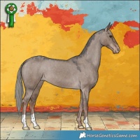 Horse Color:Liver Red Dun Mushroom Varnish 