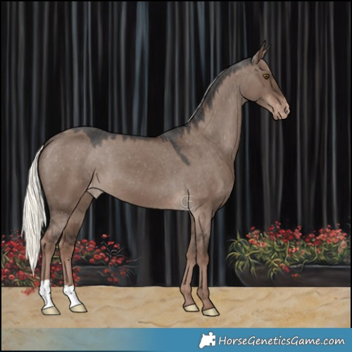 Horse Color:Liver Red Dun Mushroom Varnish 