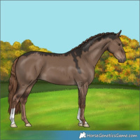 Horse Color:Liver Red Dun 