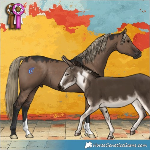 Horse Color:Liver Red Dun 