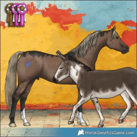 Horse Color:Liver Red Dun 
