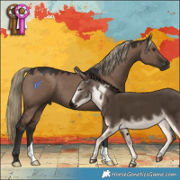 Horse Color:Liver Red Dun