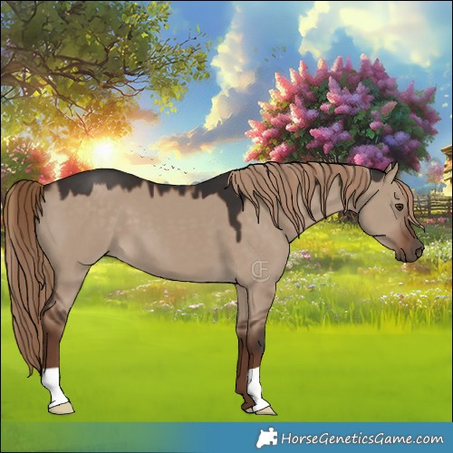 Horse Color:Liver Red Dun 