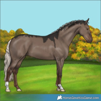 Horse Color:Liver Red Dun Mushroom 