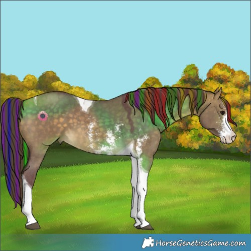 Horse Color:Painted Chocolate Buckskin Dun Sabino Tobiano 