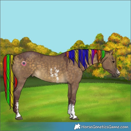 Horse Color:Painted Chocolate Buckskin Dun Sabino 