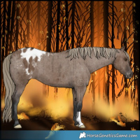 Horse Color:Liver Red Dun Varnish Brindle