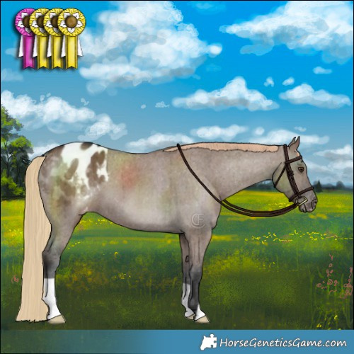 Horse Color:Liver Red Dun Varnish Brindle 