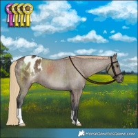 Horse Color:Liver Red Dun Varnish Brindle