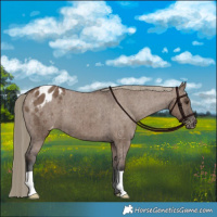 Horse Color:Liver Red Dun Varnish Brindle 