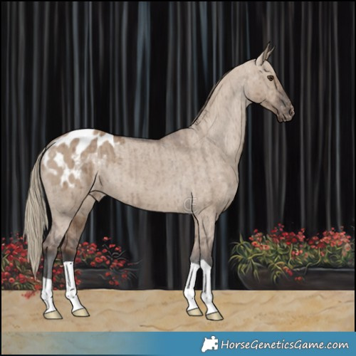 Horse Color:Liver Red Dun Varnish Brindle 