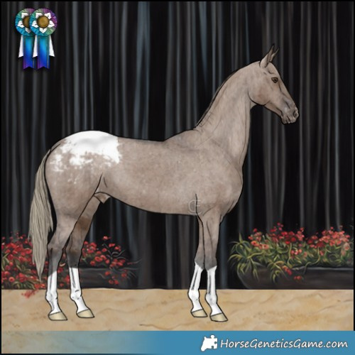 Horse Color:Liver Red Dun Varnish Brindle 