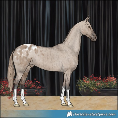 Horse Color:Liver Red Dun Varnish Brindle 