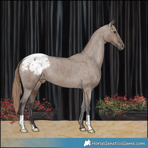 Horse Color:Liver Red Dun Varnish Brindle 