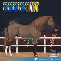 Horse Color:Liver Red Dun Brindle 