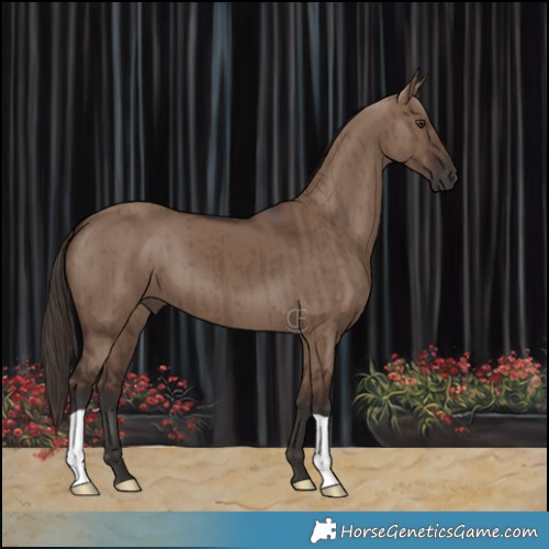 Horse Color:Liver Red Dun Brindle 